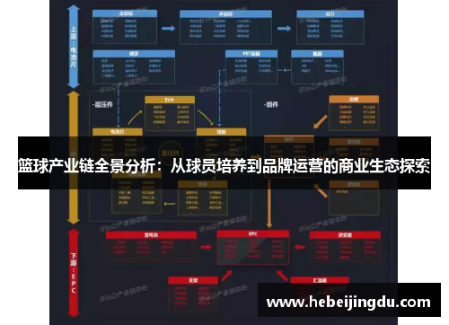 篮球产业链全景分析：从球员培养到品牌运营的商业生态探索