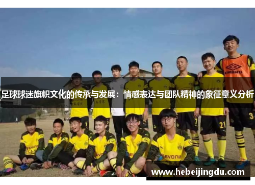 足球球迷旗帜文化的传承与发展：情感表达与团队精神的象征意义分析