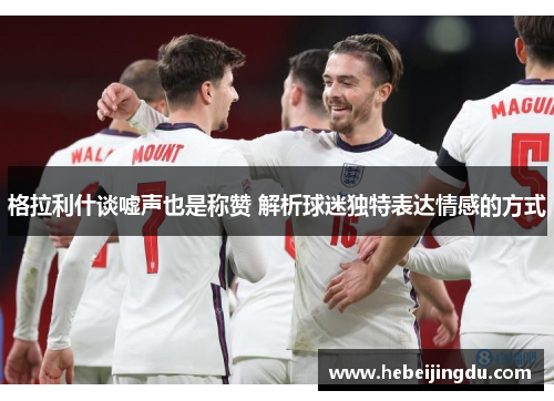 格拉利什谈嘘声也是称赞 解析球迷独特表达情感的方式