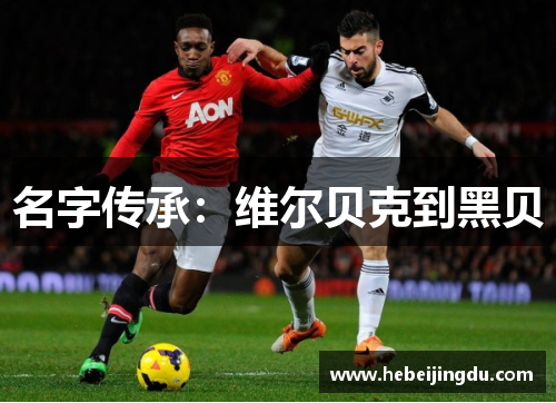 名字传承：维尔贝克到黑贝