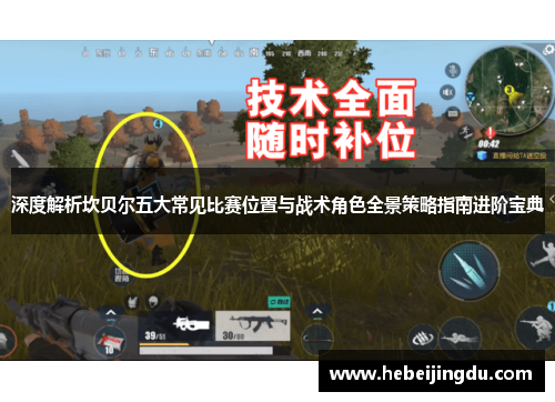 深度解析坎贝尔五大常见比赛位置与战术角色全景策略指南进阶宝典 深度解析坎贝尔五大常见比赛位置与战术角色全景策略指南进阶宝典