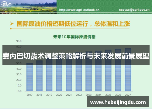 费内巴切战术调整策略解析与未来发展前景展望 费内巴切战术调整策略解析与未来发展前景展望