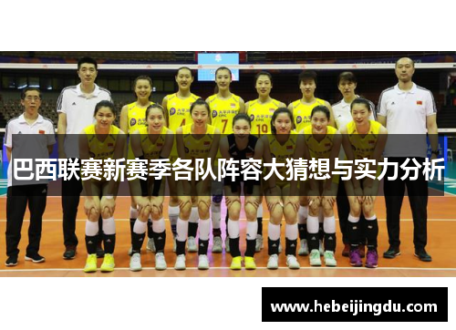 巴西联赛新赛季各队阵容大猜想与实力分析