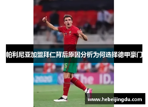 帕利尼亚加盟拜仁背后原因分析为何选择德甲豪门